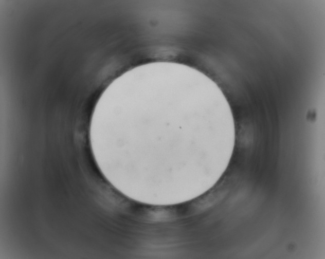 X0000102240370200807250843
