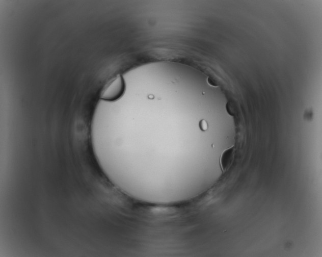 X0000102240371200807250843