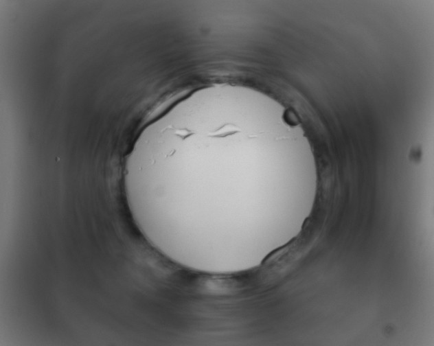 X0000102240372200807250843
