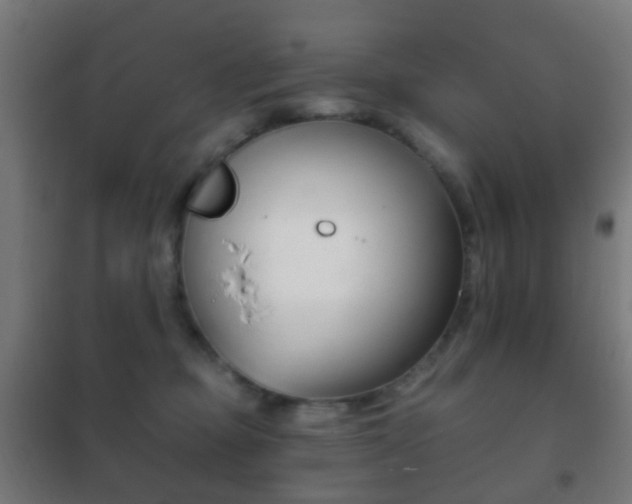 X0000102240373200807250843
