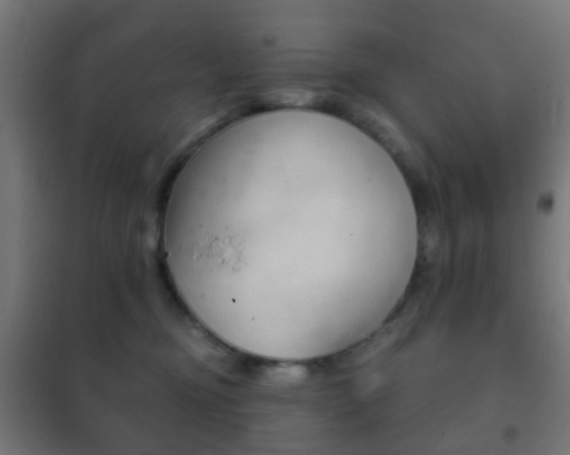 X0000102240374200807250844