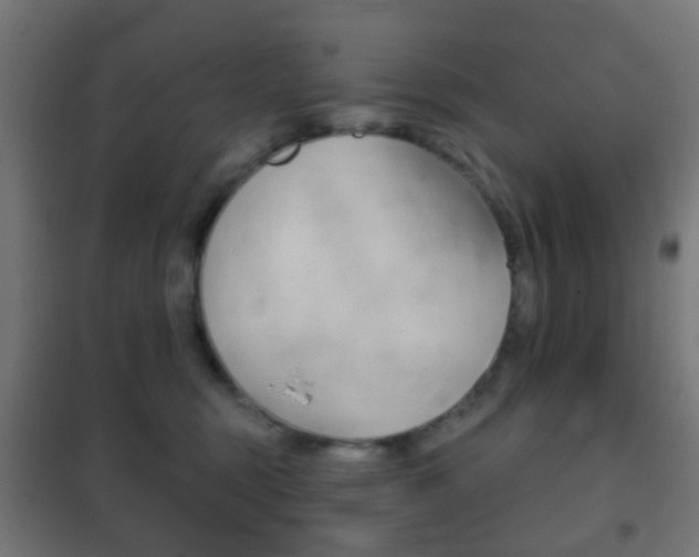 X0000102240375200807250844