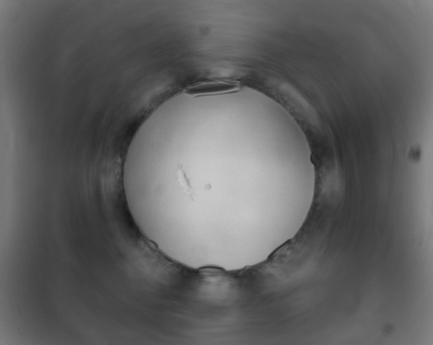 X0000102240376200807250844