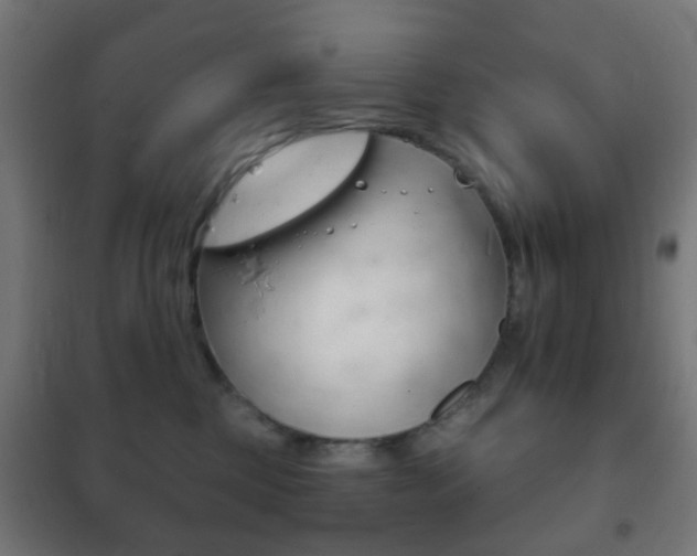 X0000102240377200807250844