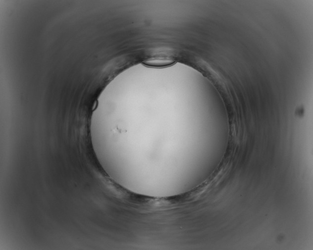 X0000102240379200807250844