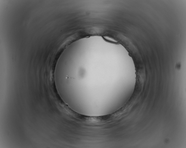X0000102240380200807250844