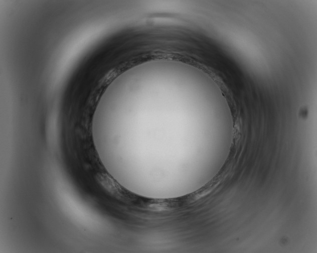 X0000102240381200807250844