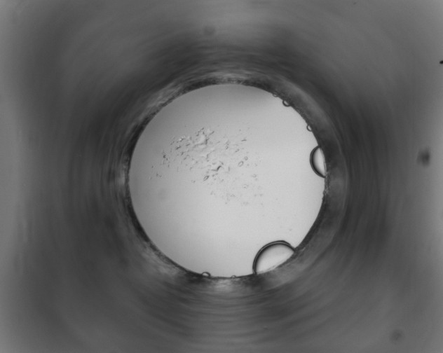 X0000102240382200807250844