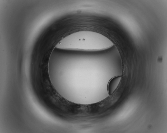 X0000102240383200807250844