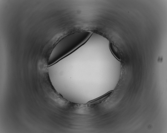 X0000102240384200807250844
