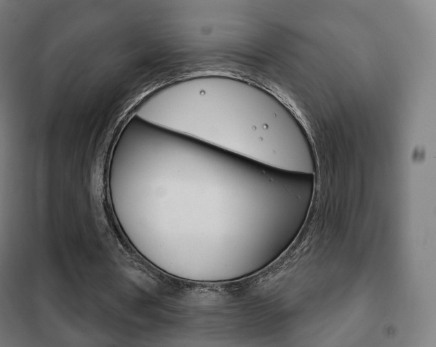 X0000102240386200807250843