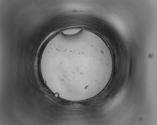 X0000102240387200807250843
