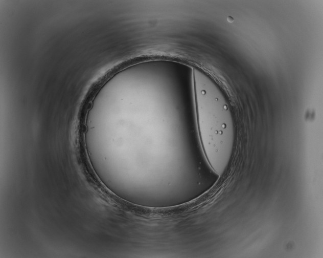 X0000102240388200807250843