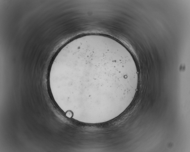 X0000102240389200807250843