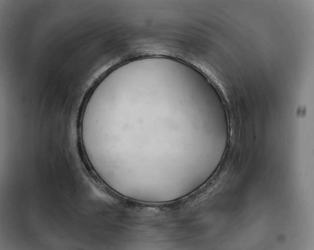 X0000102240390200807250843