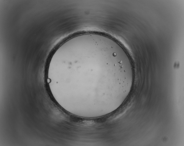 X0000102240391200807250843