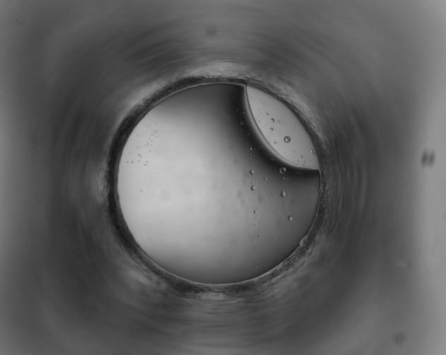 X0000102240392200807250843