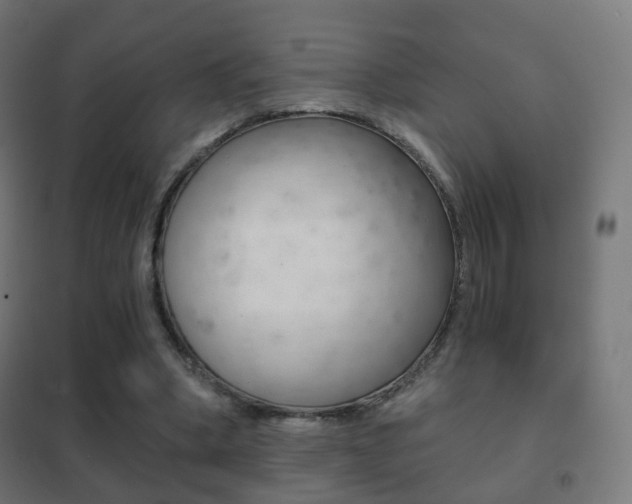 X0000102240394200807250843