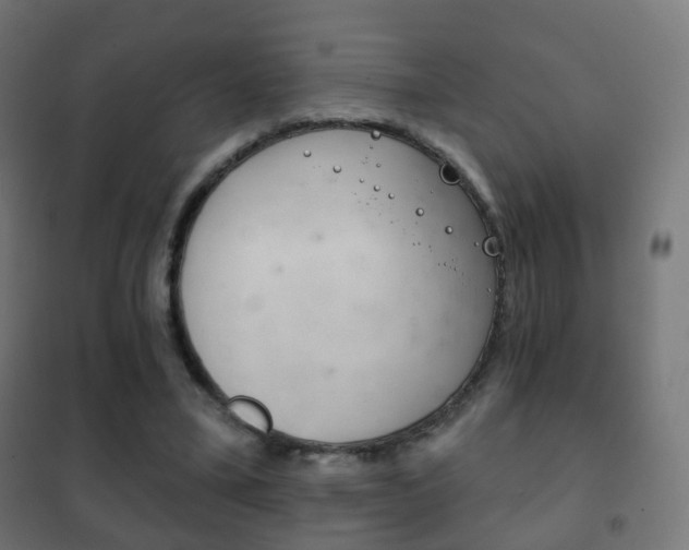 X0000102240395200807250843