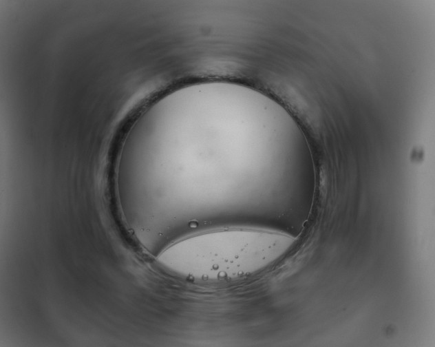 X0000102240396200807250843