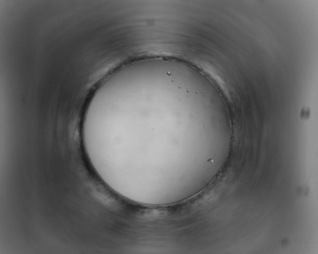 X0000102240398200807250843