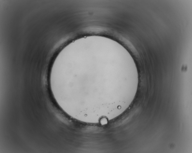 X0000102240399200807250843