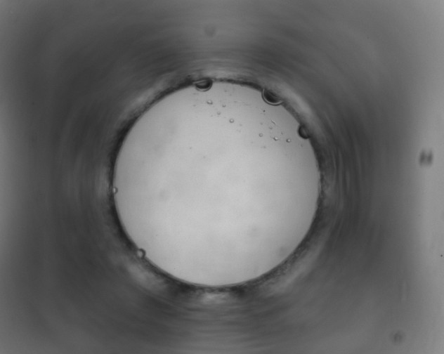 X0000102240401200807250843