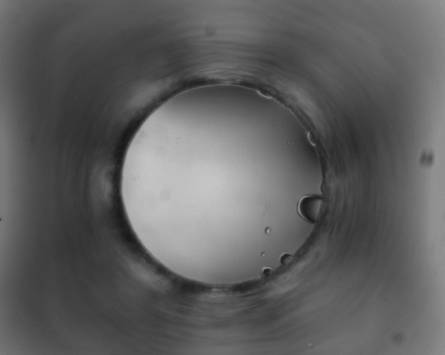 X0000102240404200807250843