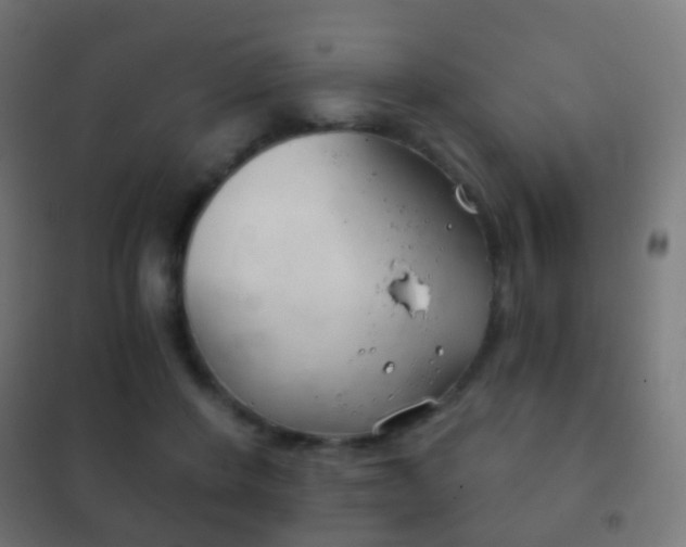 X0000102240408200807250843