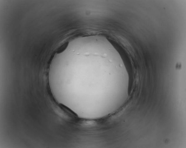 X0000102240409200807250842