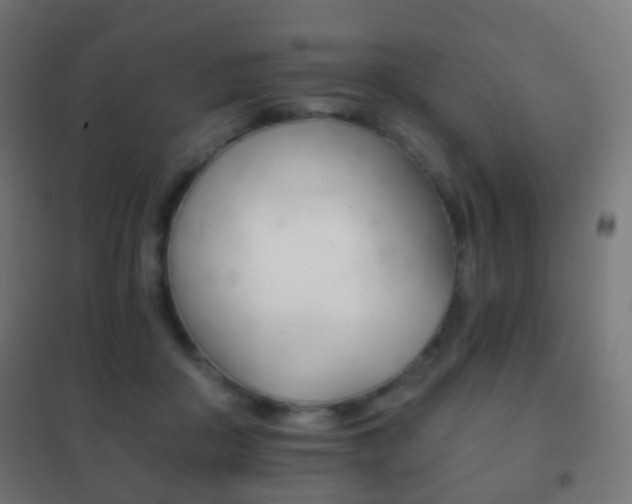 X0000102240410200807250842