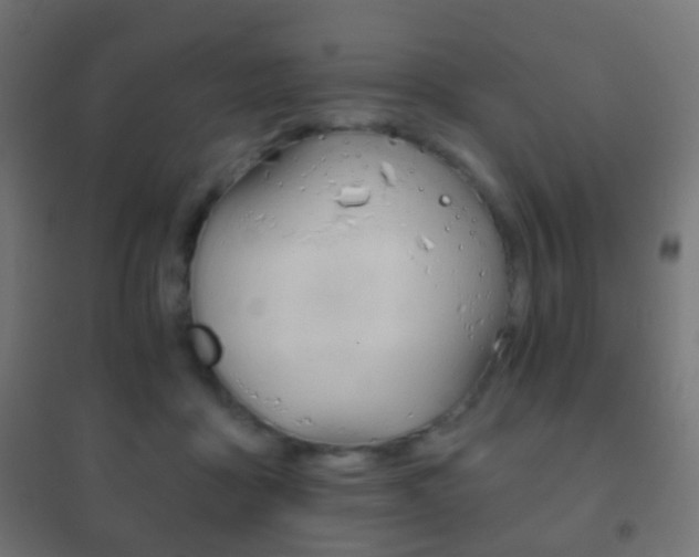 X0000102240411200807250842