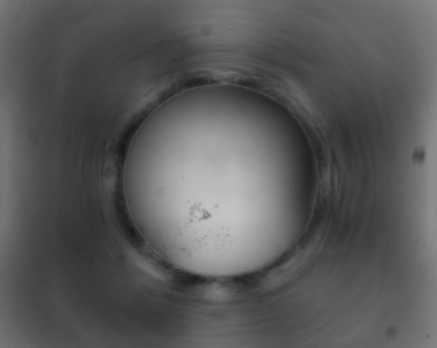 X0000102240412200807250842
