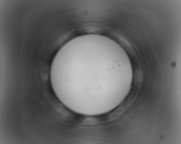 X0000102240413200807250842