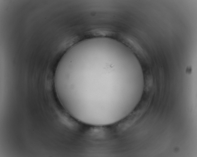 X0000102240414200807250842