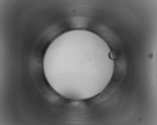 X0000102240415200807250842
