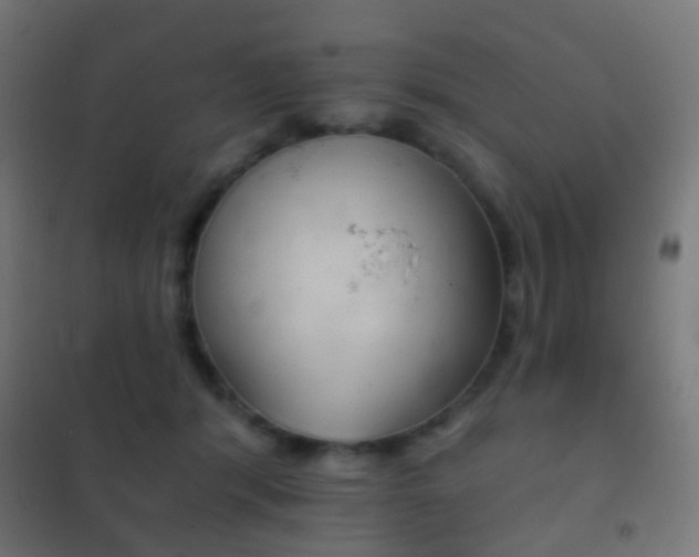 X0000102240416200807250842
