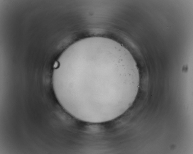 X0000102240417200807250842