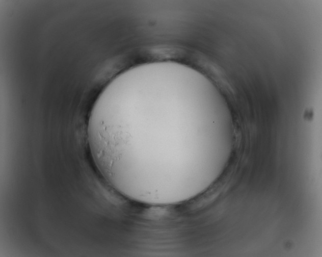 X0000102240418200807250842