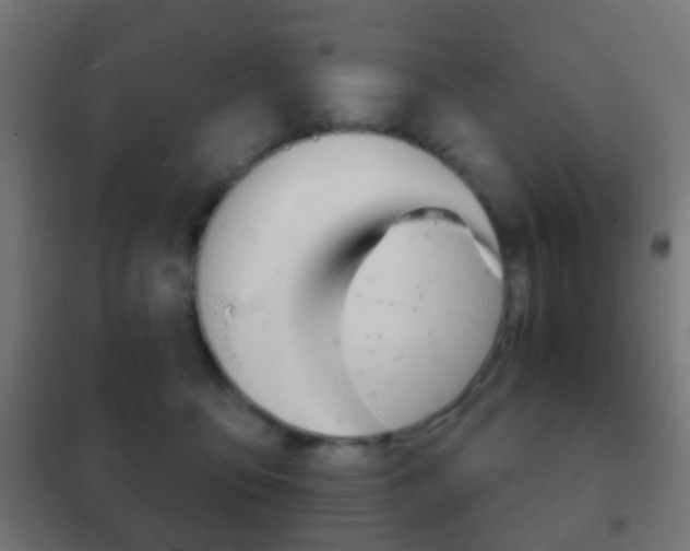 X0000102240419200807250842
