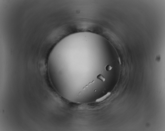 X0000102240420200807250842