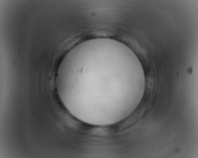 X0000102240422200807250842