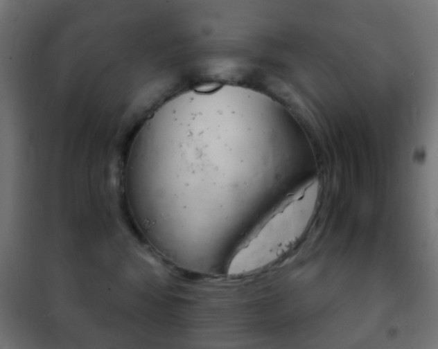 X0000102240424200807250842
