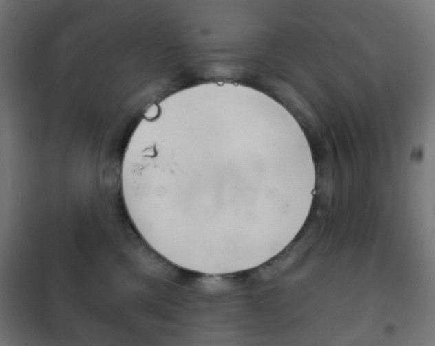 X0000102240425200807250842