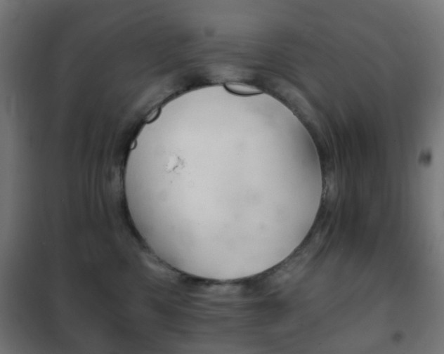 X0000102240426200807250842
