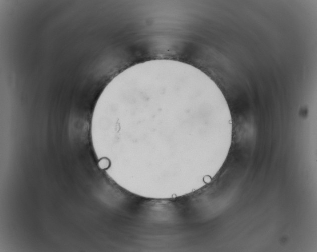 X0000102240427200807250842