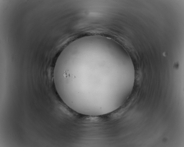 X0000102240428200807250842