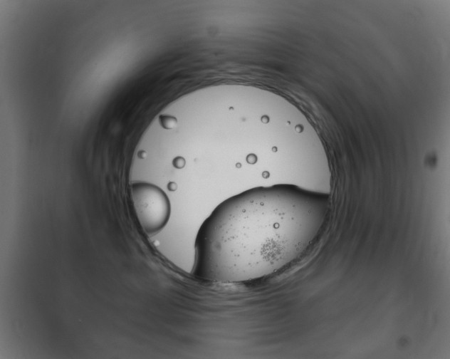 X0000102240429200807250842