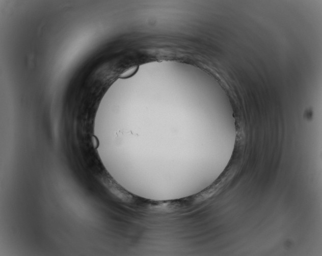 X0000102240430200807250842