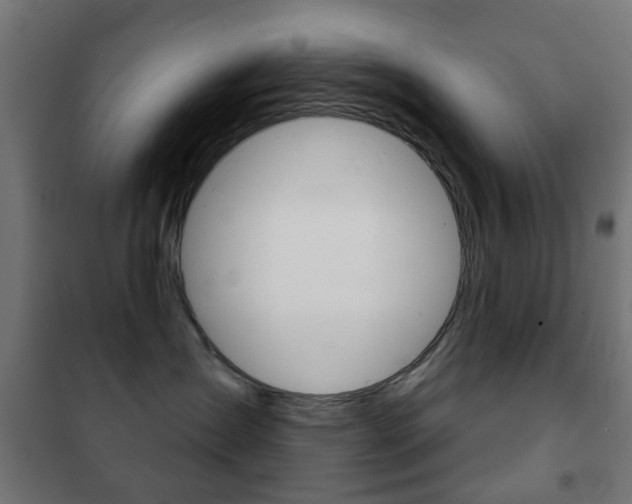 X0000102240431200807250842